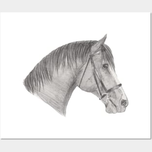 Bridled Horse Posters and Art